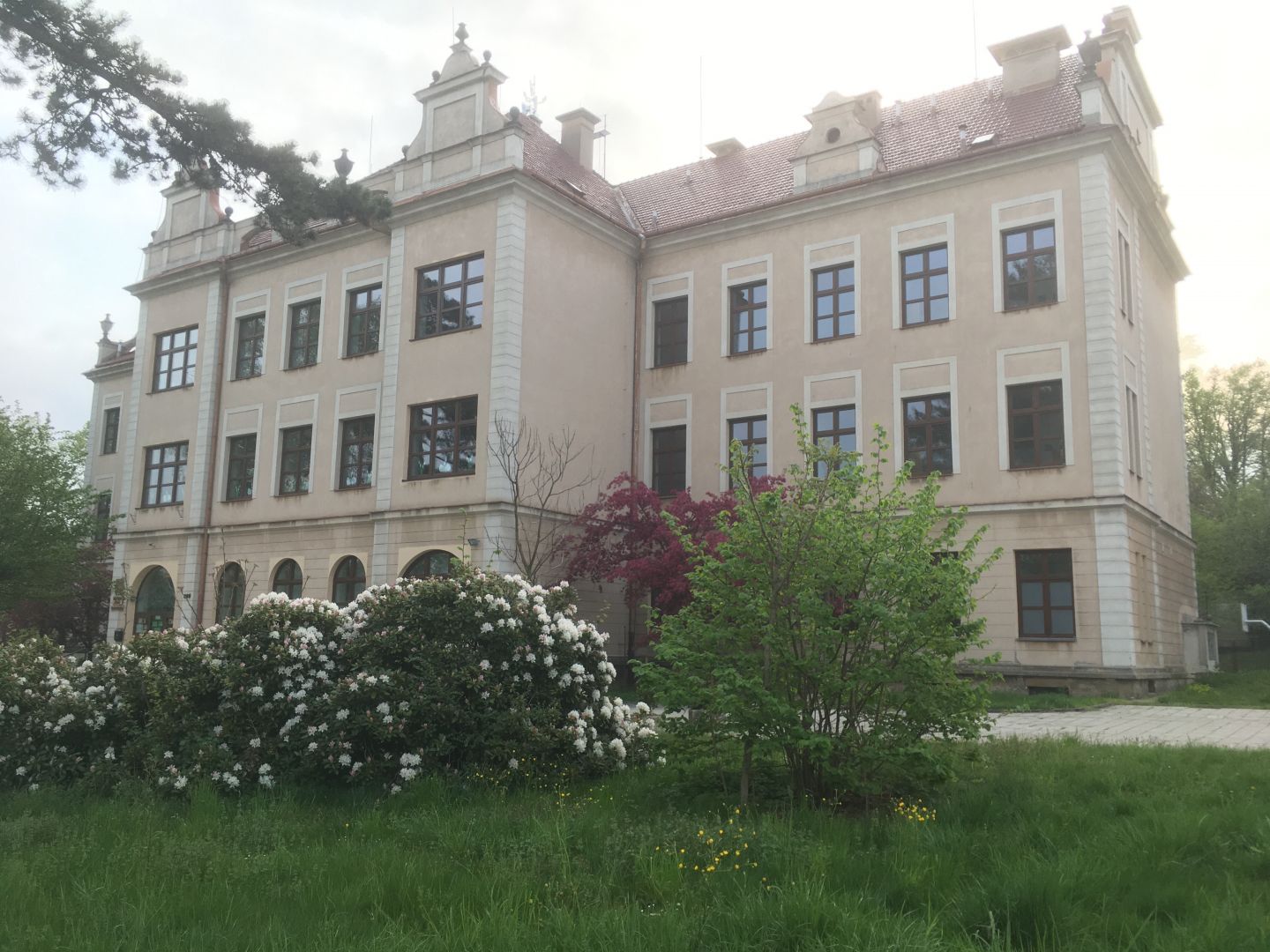 škola